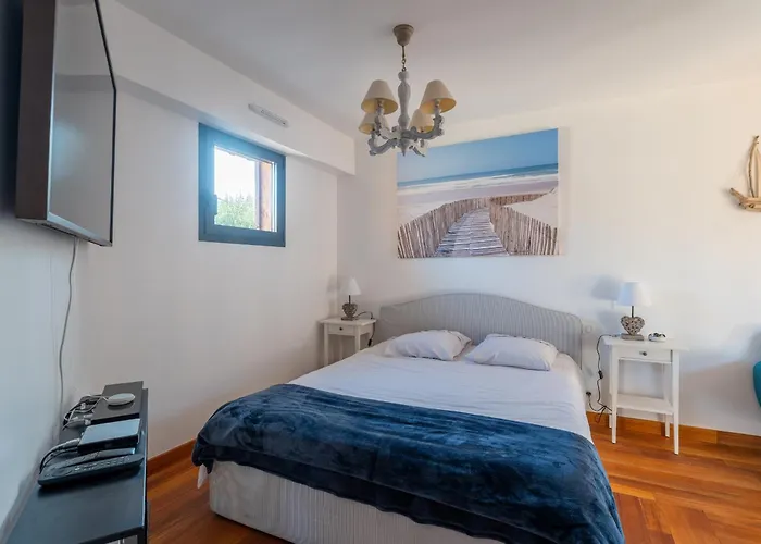 Villa Maison Familiale Style Loft A - 10 Personnes, Piscin - Fr-1-319-563 Biscarrosse